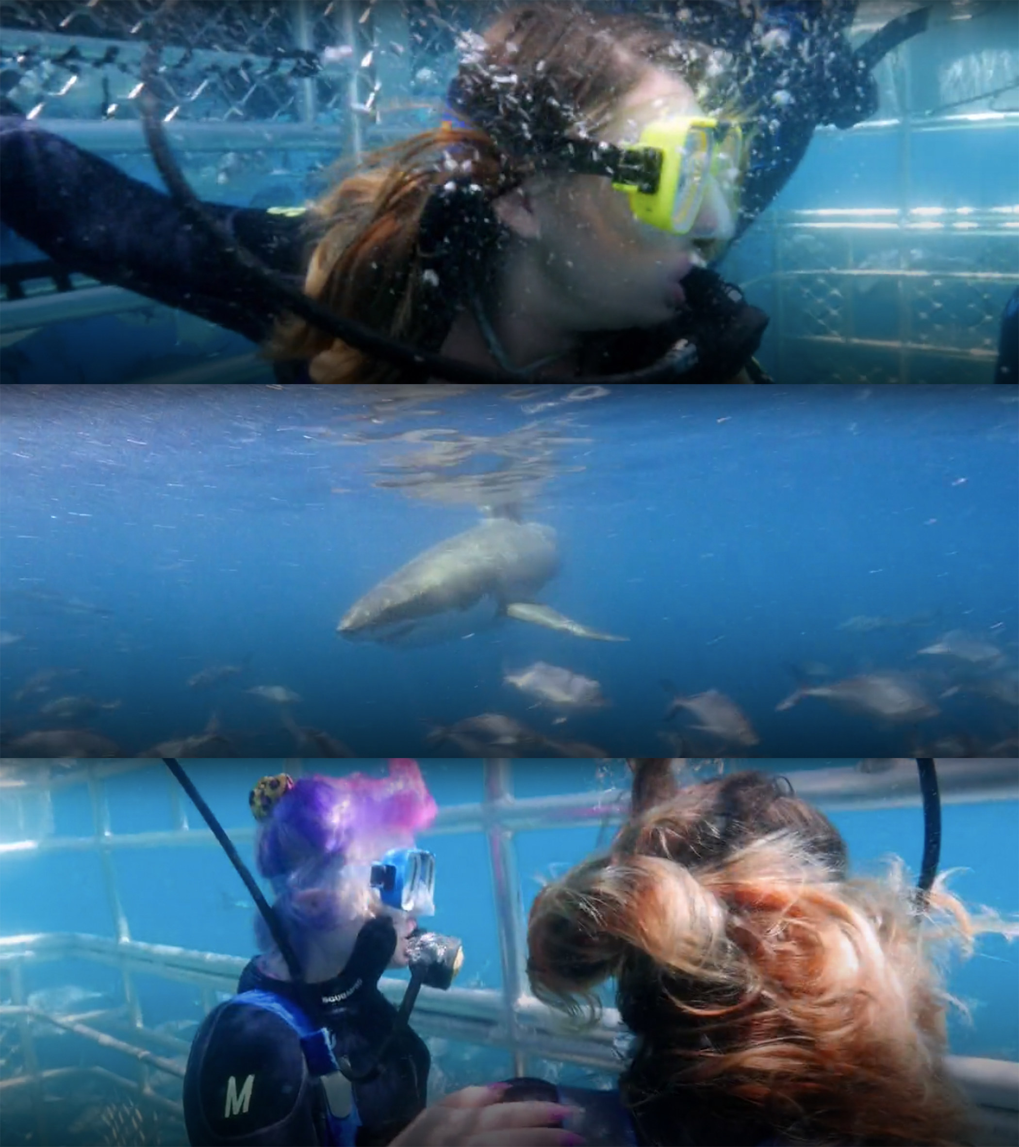 Erika comforts Stephanie in the diving cage