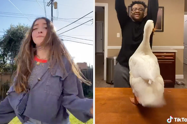 The Most Viral Tiktok Songs Of So Far