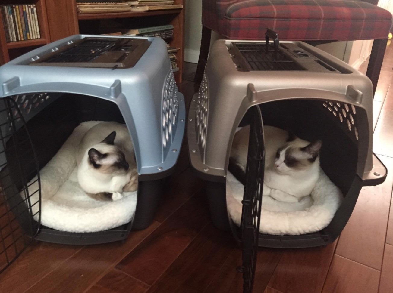 Reviewer Photo: The Pet Crates