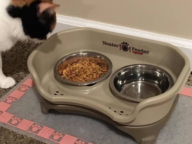 Reviewer photo of the feeder; one bowl filled with water and the other with dry cat food