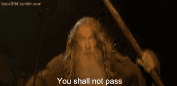 Gif of Gandalf shouting &quot;You shall not pass&quot;