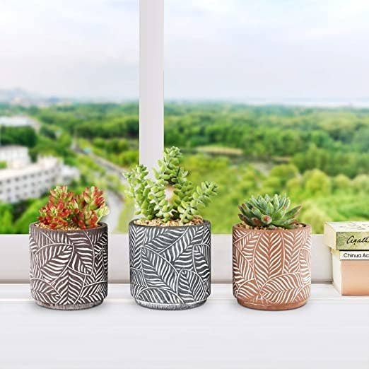 Three textured succulent plant pots