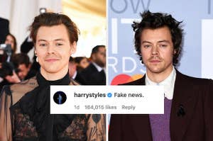 Harry Styles at press events next to his caption which reads "fake news"