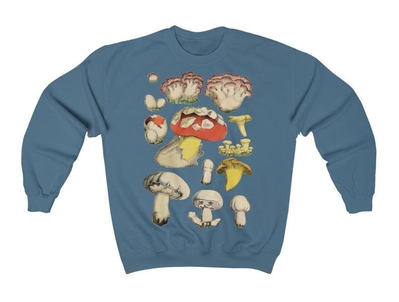 the sweater in blue with 13 mushrooms printed on it 