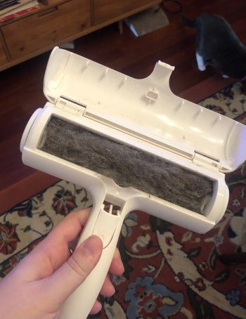 A BuzzFeed editor's photo of her Chom Chom roller full of cat hair