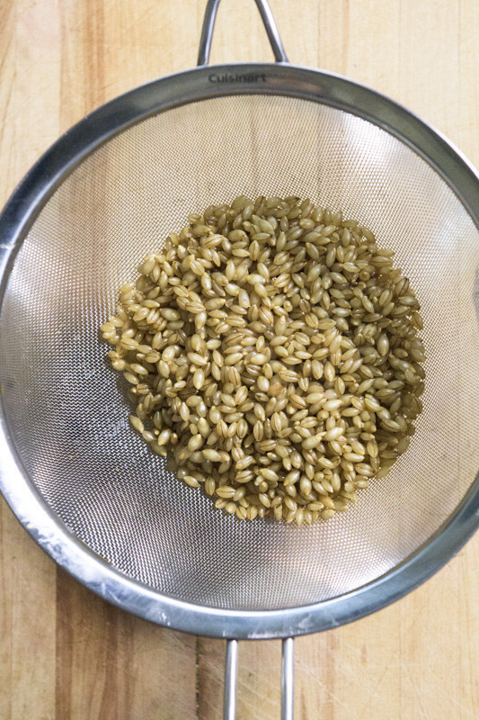 Barley in a mesh strainer