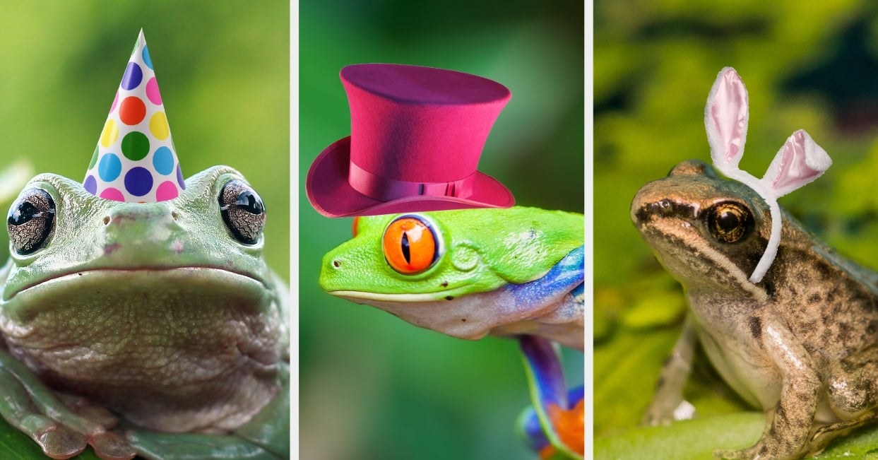三个青蛙旁边一个另一个。每一个都有不同的帽子合成到它的头。为了从左到右:派对帽,帽子,兔子的耳朵