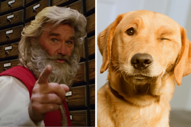 Adopt A Bunch Of Dogs And We'll Give You A Christmas Movie To Watch