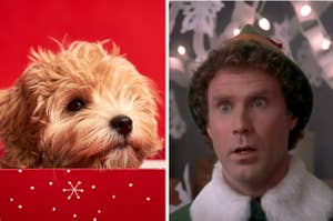 A dog is in a box on the left with an Elf looking surprised on the right