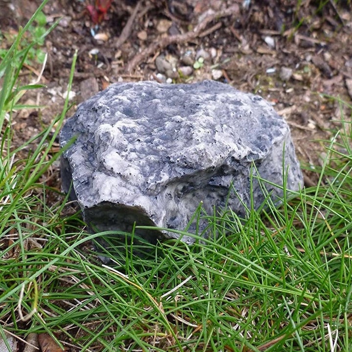 the faux rock hidden among the grass