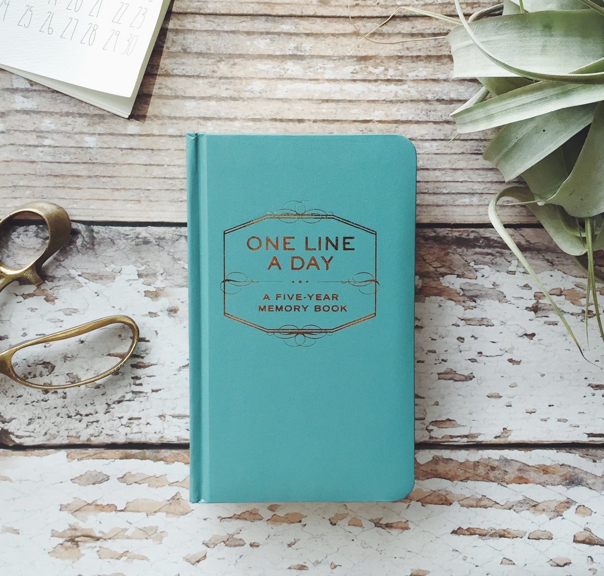 the journal that says one line a day a five-year memory book 