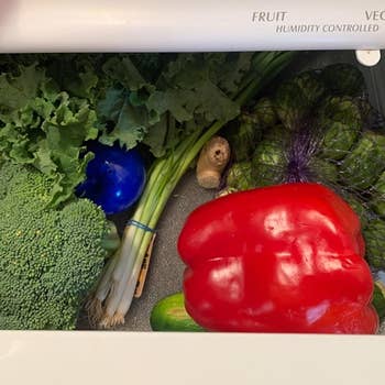 The Bluapple in a fridge drawer filled with fresh produce 