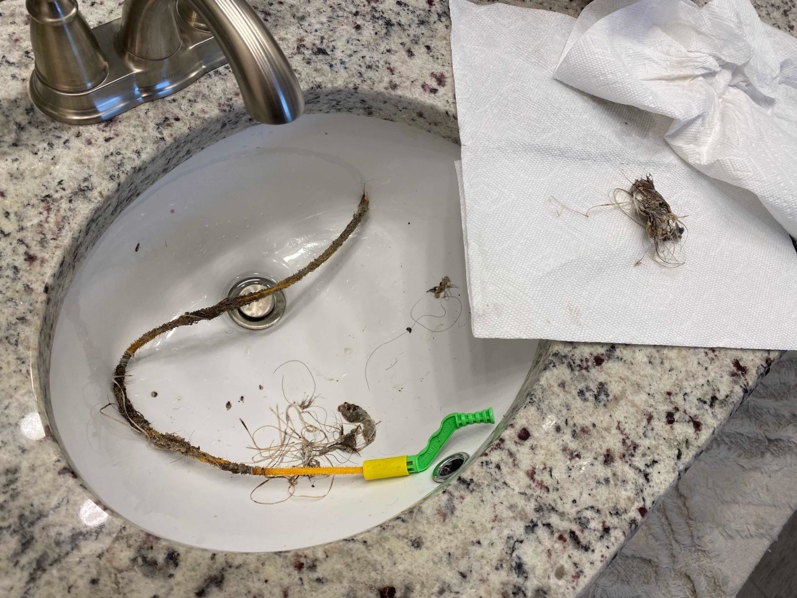 the drain snake covered in hair after being used to unclog a bathroom sink