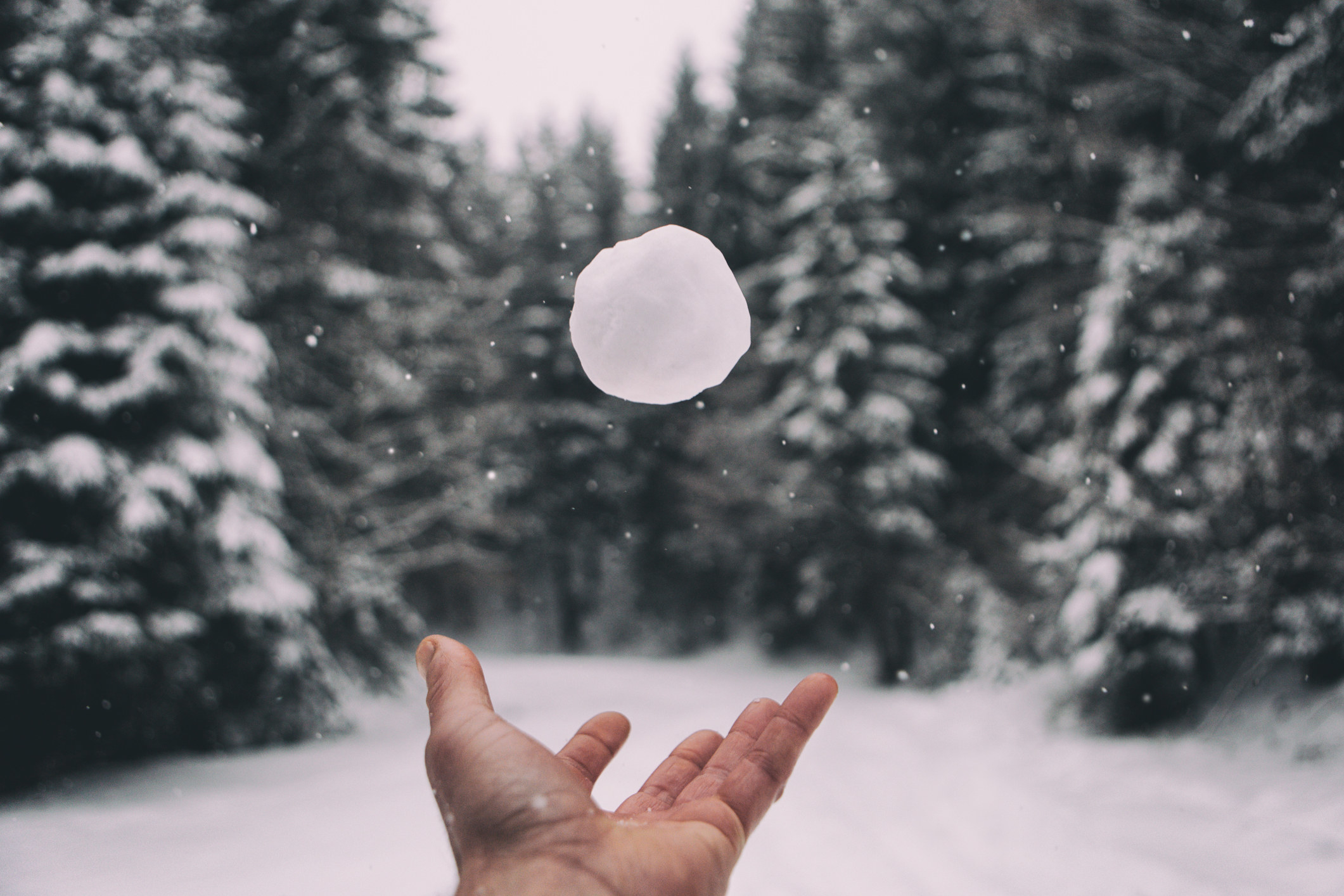 Person tossing a snowball in the air