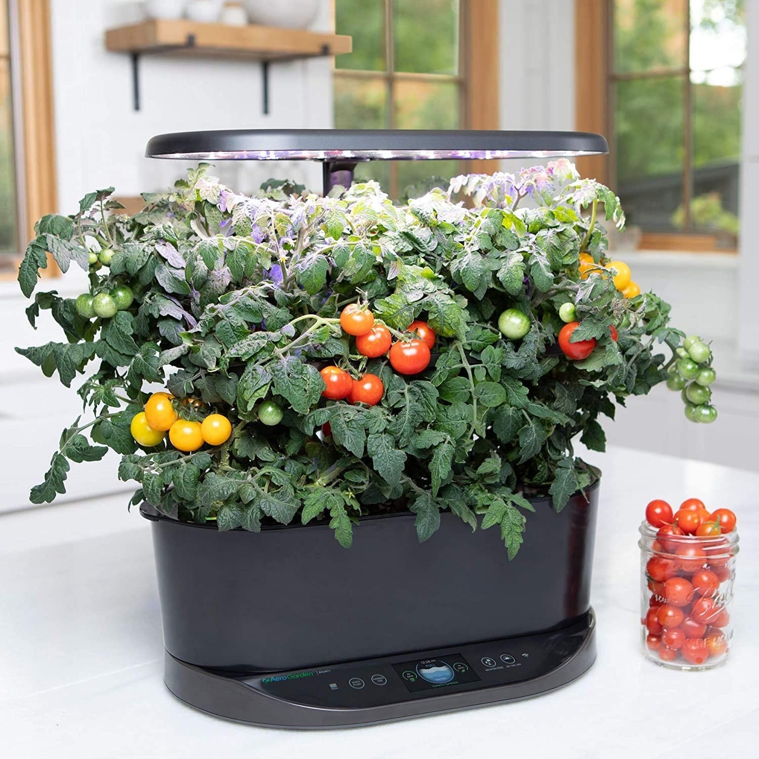 The black AeroGarden with a full tomato crop growing