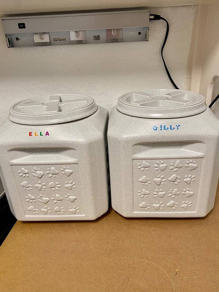 Reviewer&#x27;s photo of their food storage containers with their pets&#x27; names in rainbow and blue letters