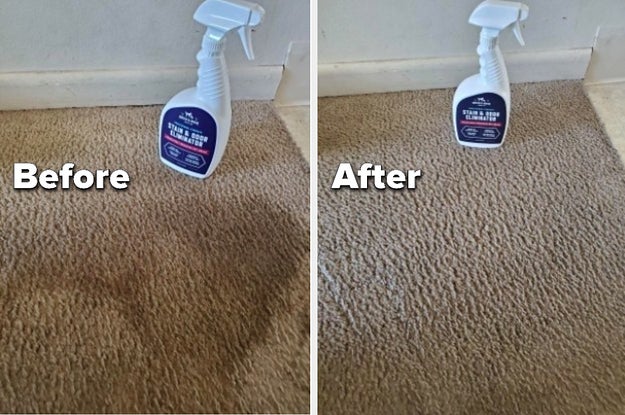 27 Amazon Cleaning And Grooming Products For Pet Owners - Vimarsana News