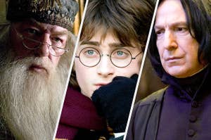 Dumbledore, Harry Potter and Snape from Harry Potter and the Goblet of Fire