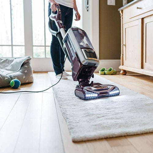 Model using the vaccum