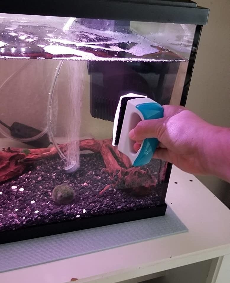 Reviewer&#x27;s photo of them using the aquarium cleaning brush