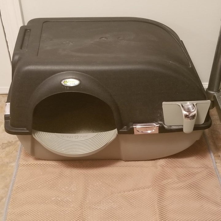 The litter box, which has a domed top