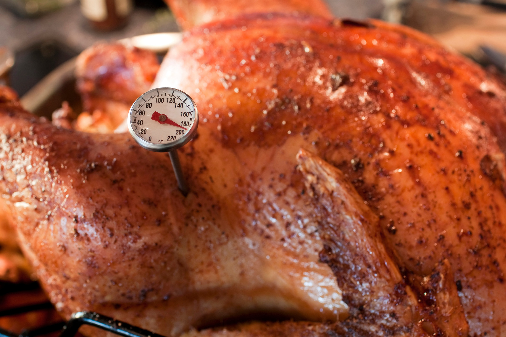 turkey with thermometer in it