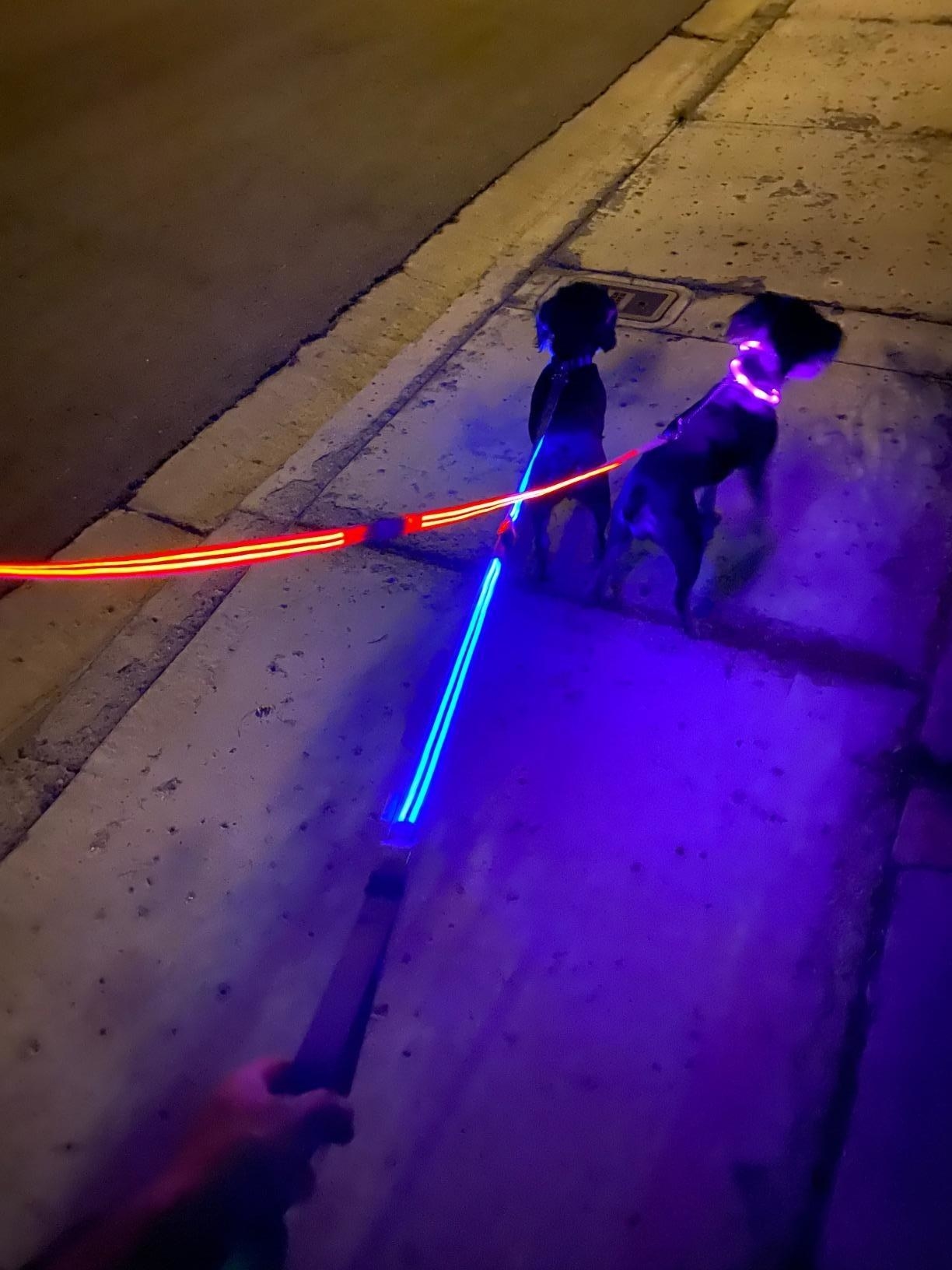 The leash, which has two lines of glowing material stretching from the handle to the collar