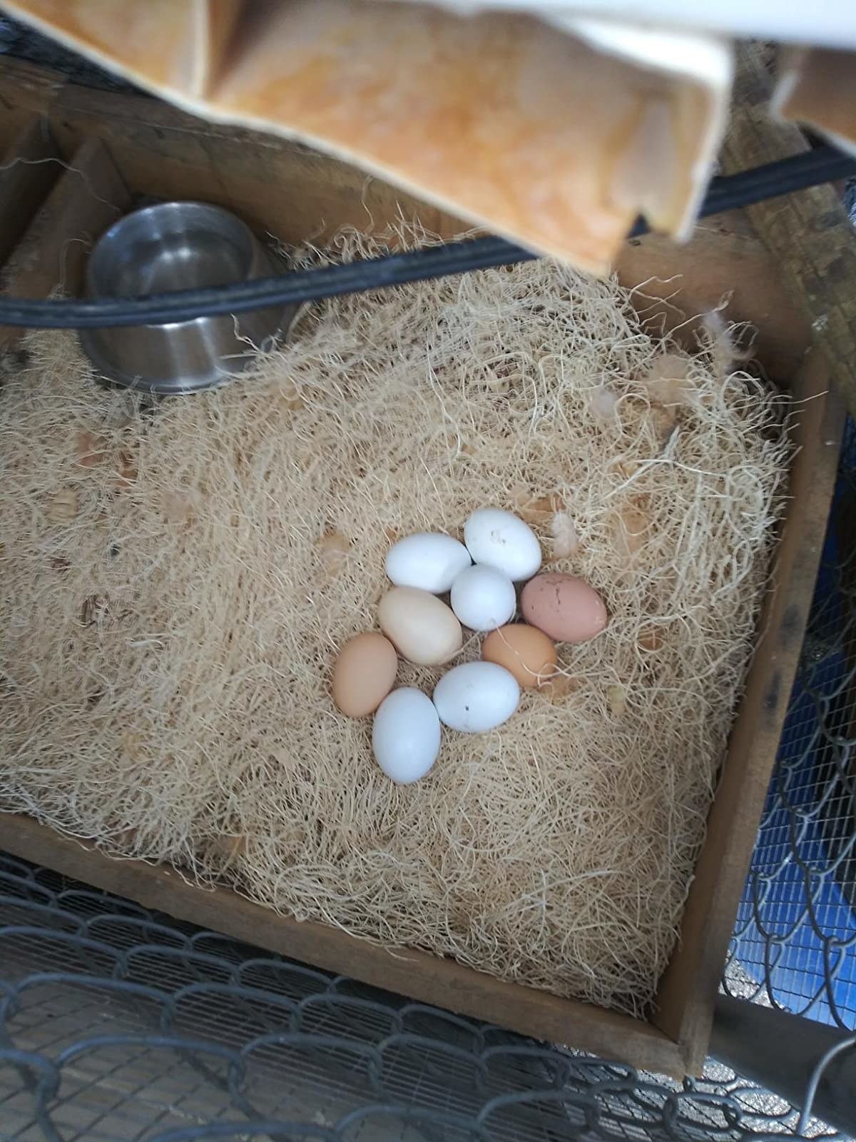 The nesting pad, which can softly support eggs without letting them break