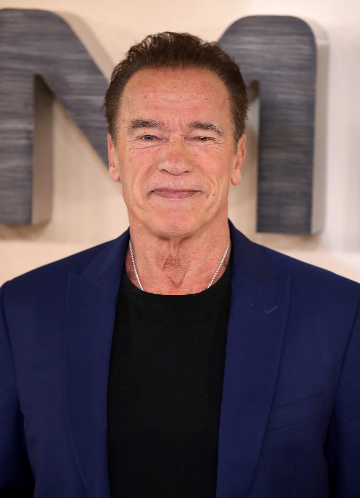 Arnold Schwarzenegger Capitol Riots Speech, Nazis