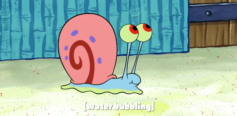 Forget Cats And Dogs Tell Us About Your Unusual Pet