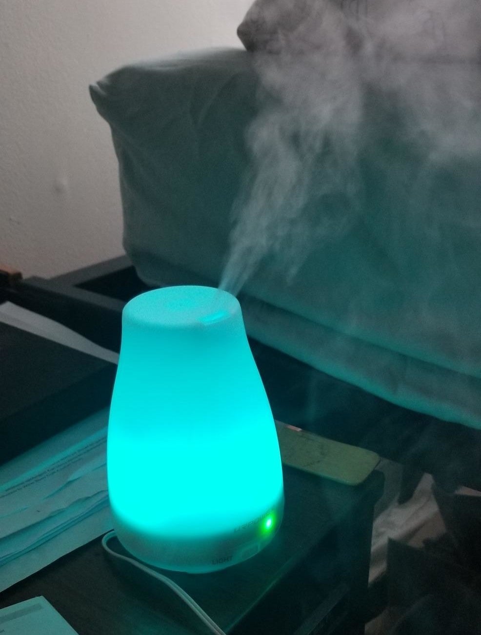 reviewer&#x27;s glowing blue diffuser and humidifier 