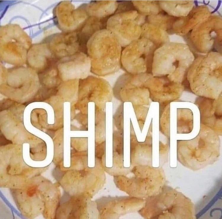 picture of shrimp reading shimp