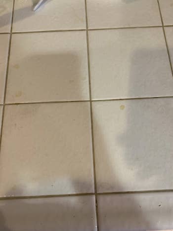 a reviewer's tiles with grout 