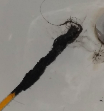 Hair attached to the FlexiSnake