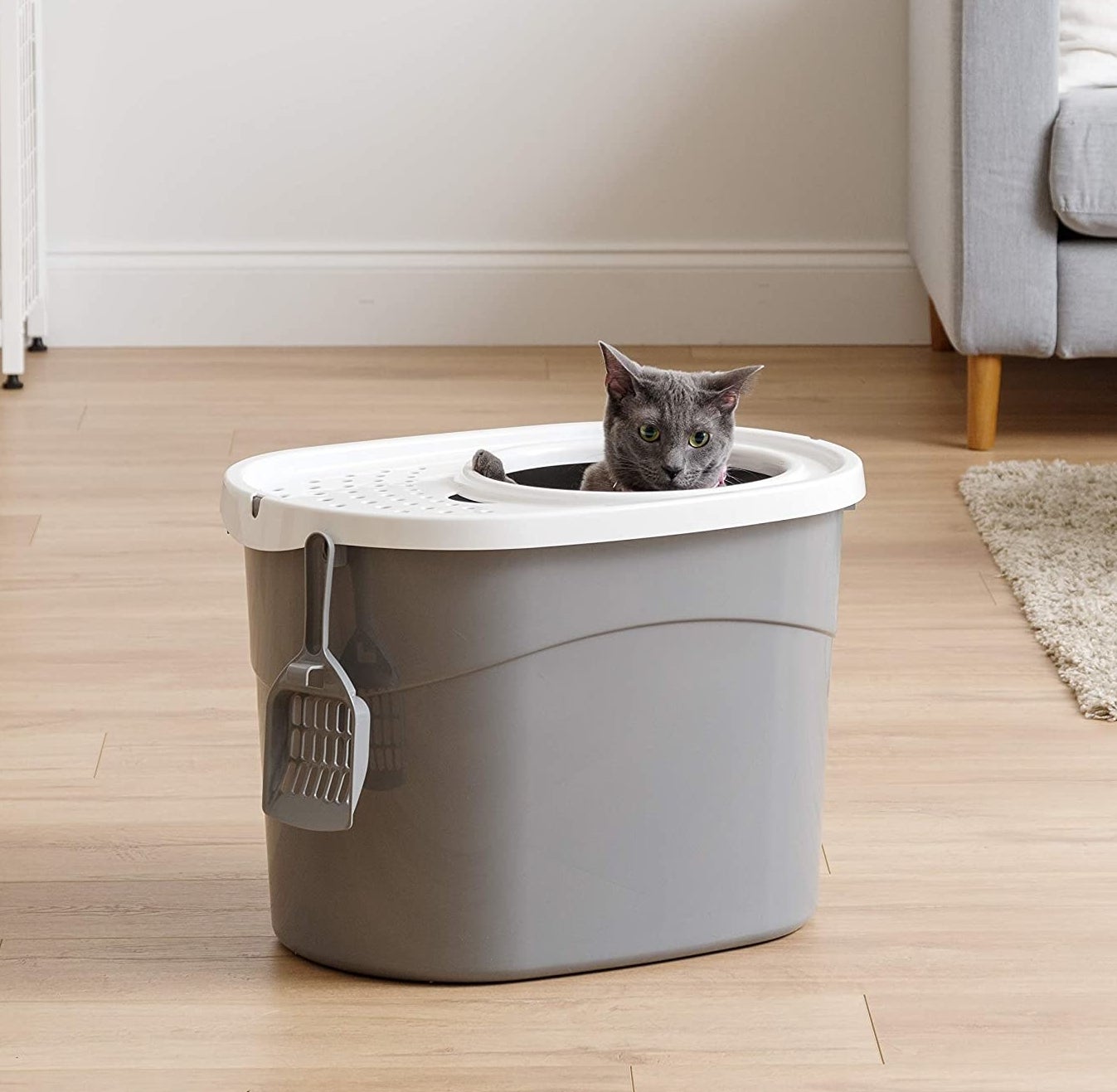 A cat inside of the litter box that has a hole in the top for entering, a ventilated lid, and a straining scoop hanging off the side 