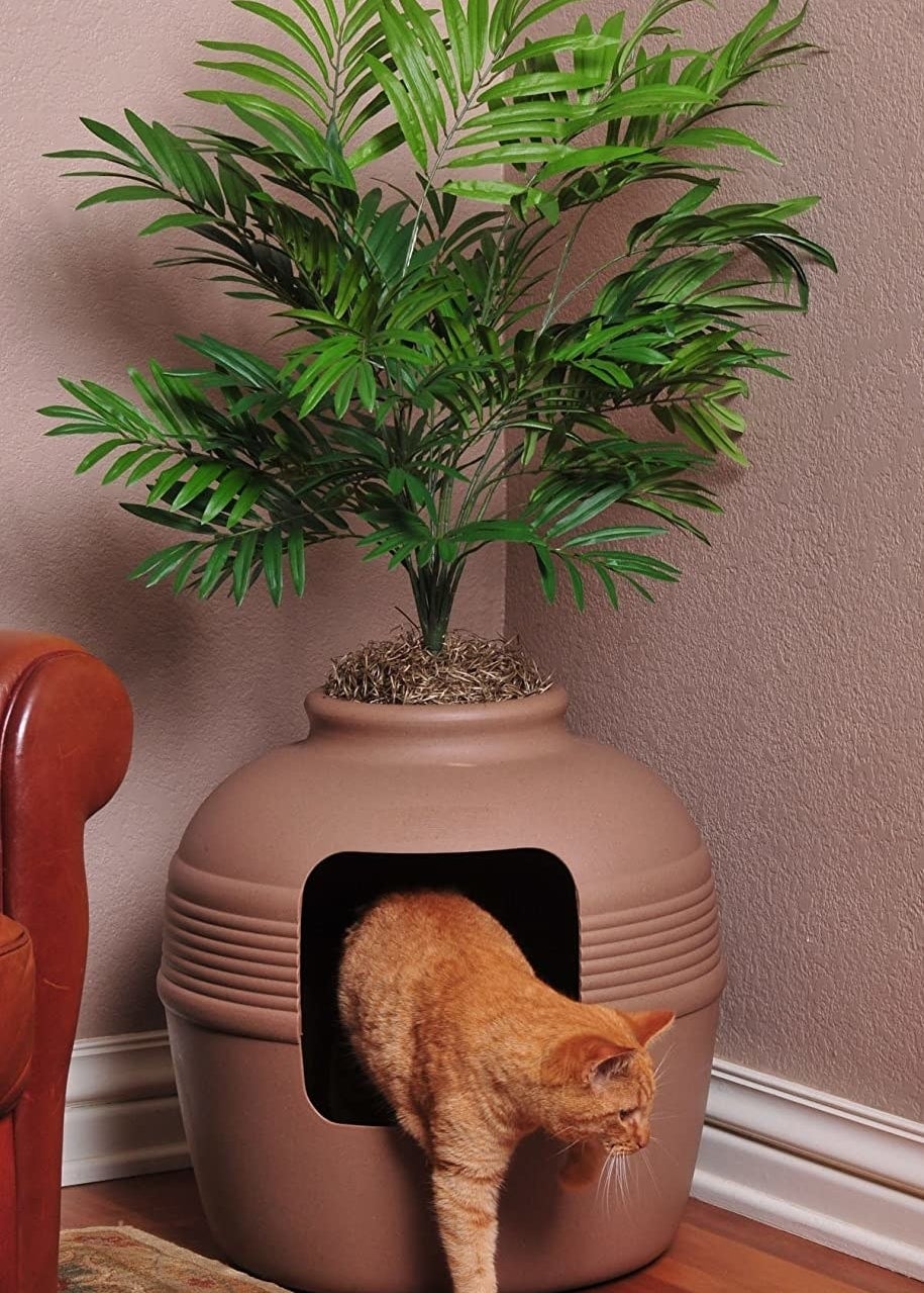 A cat stepping out of the planter shaped litter box