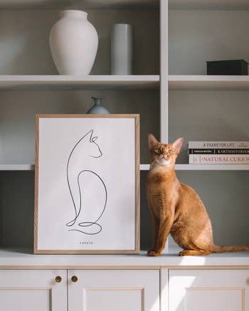 A portrait of a cat in the 