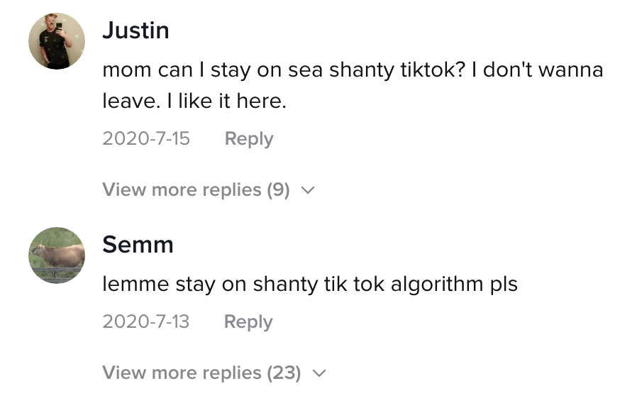 Commenters on Evans&#x27; TikTok hoping that they stay on the sea shanty TikTok algorithm