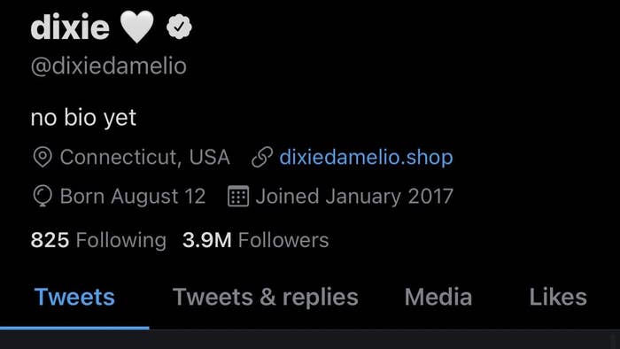 A screenshot of Dixie's Twitter account showing her followers
