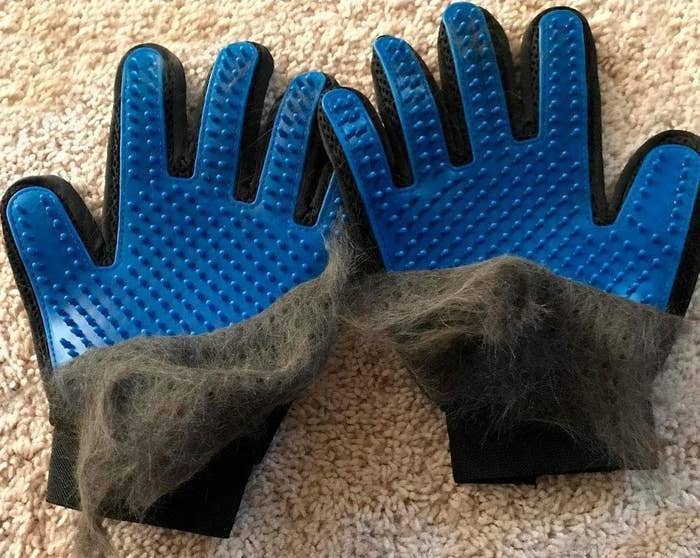 The gloves with a pile of shedding fur on them 