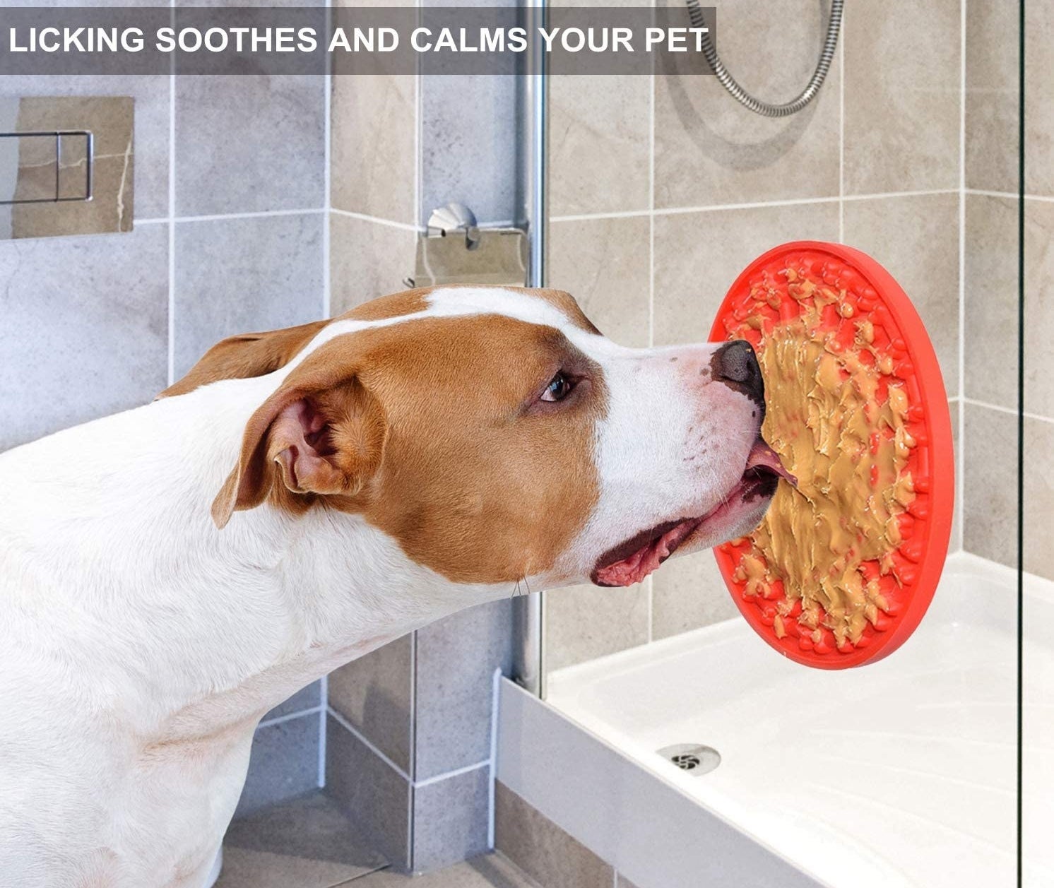A dog licking peanut butter off of a silicone mat that is suctioned onto a shower door