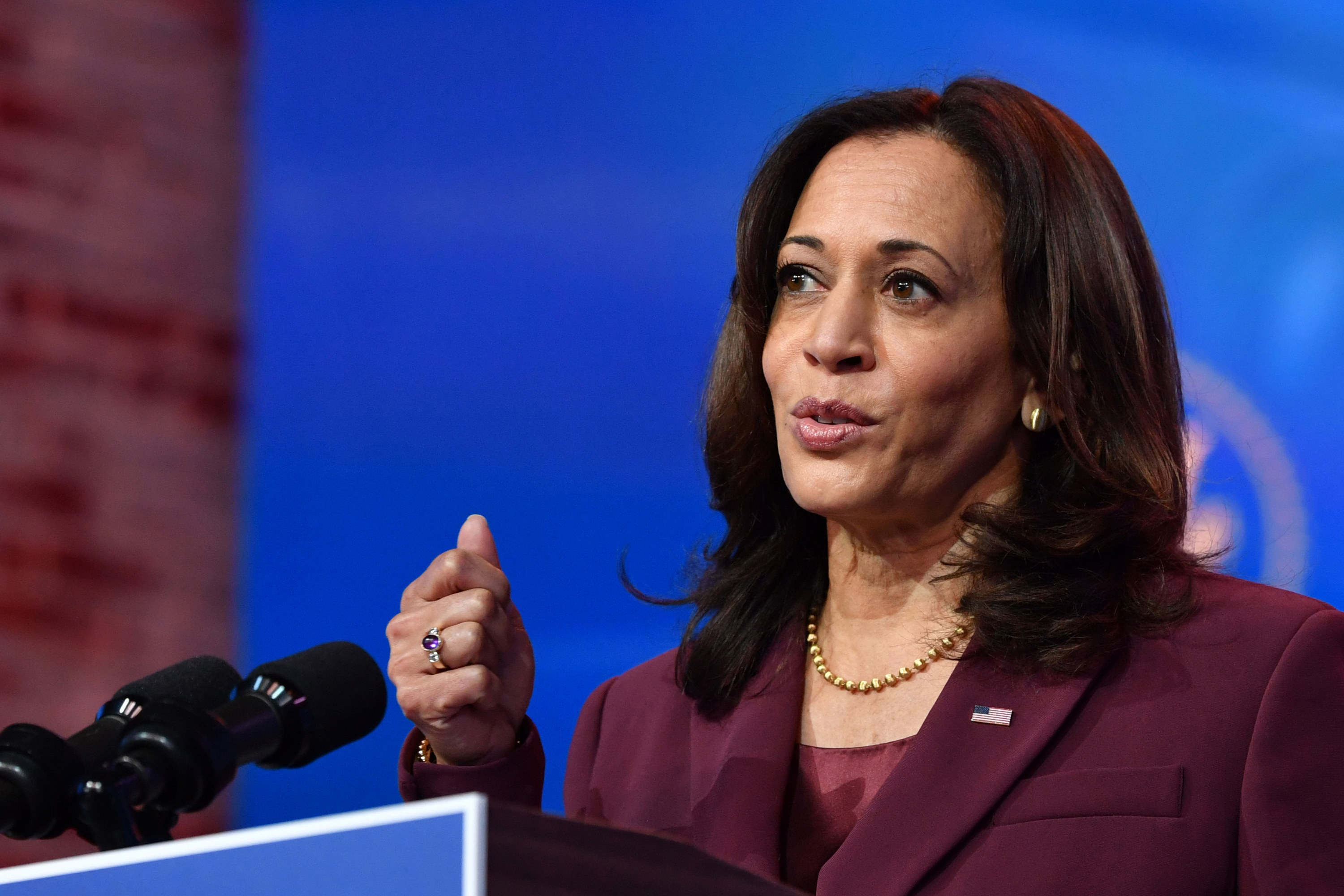 US Vice President-Elect Kamala Harris speaks in Wilmington, Delaware