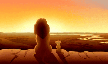 gif of Simba from &quot;The Lion King&quot;