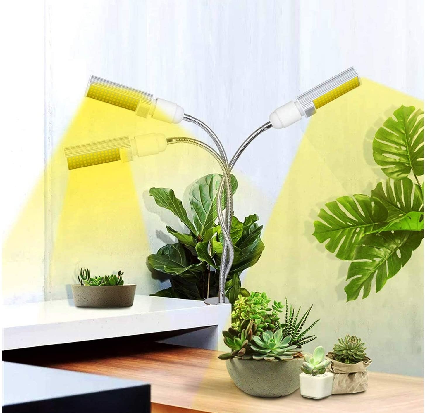 The grow light surrounded by plants