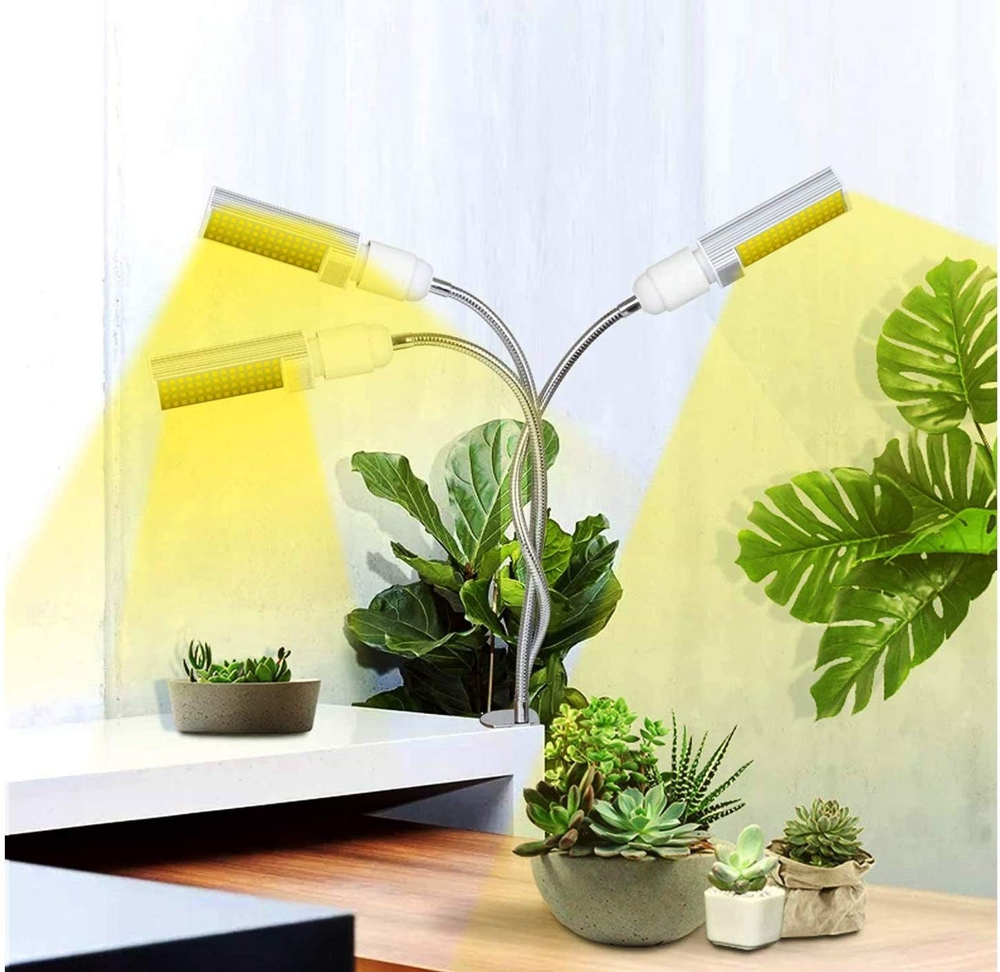 The grow light surrounded by plants