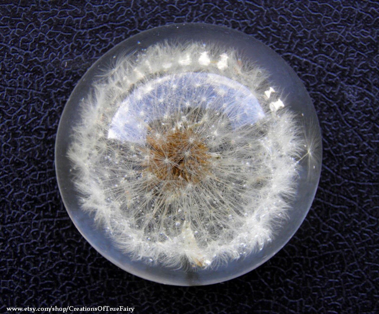 the small dandelion paperweight