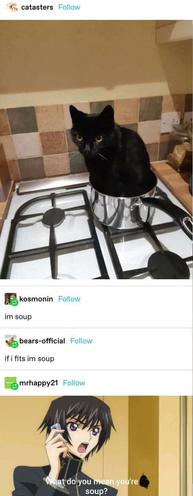 a cat in a pot on the stove with the captions &quot;im soup&quot; and &quot;if it fits im soup,&quot; with a meme of an anime character saying &quot;what do you mean you&#x27;re soup?&quot;