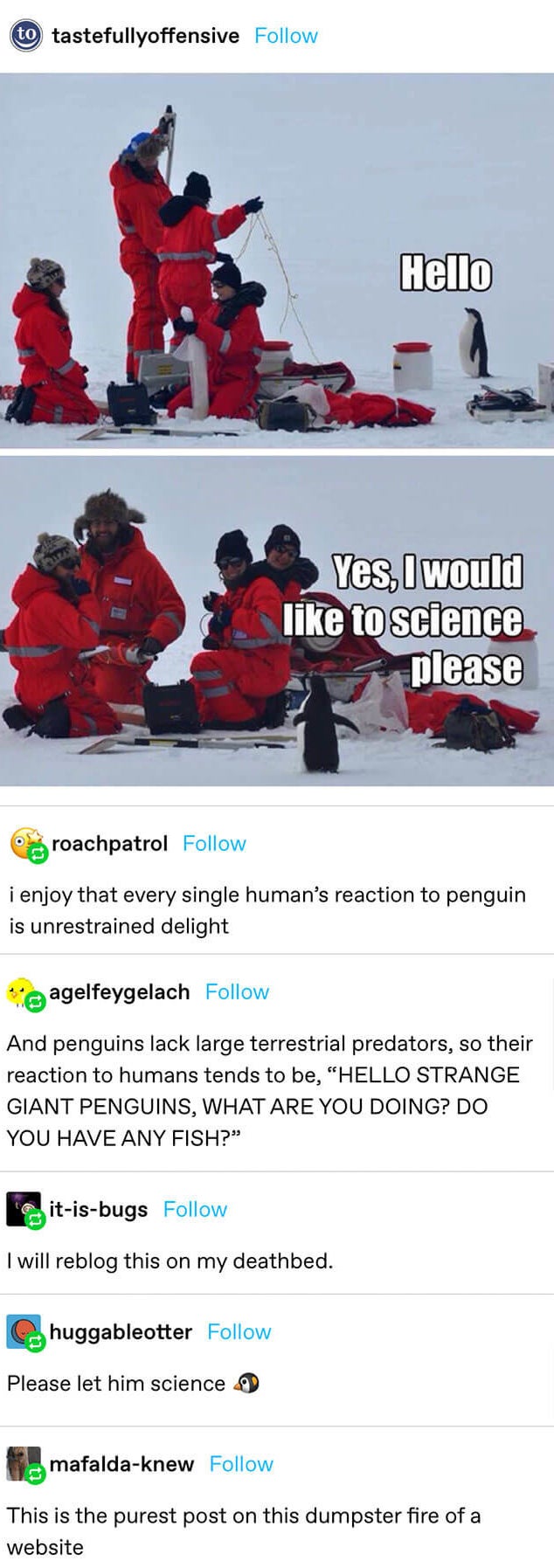 a penguin walks up to scientists on ice with the caption &quot;yes, I would like to science please&quot; and the scientists get super excited