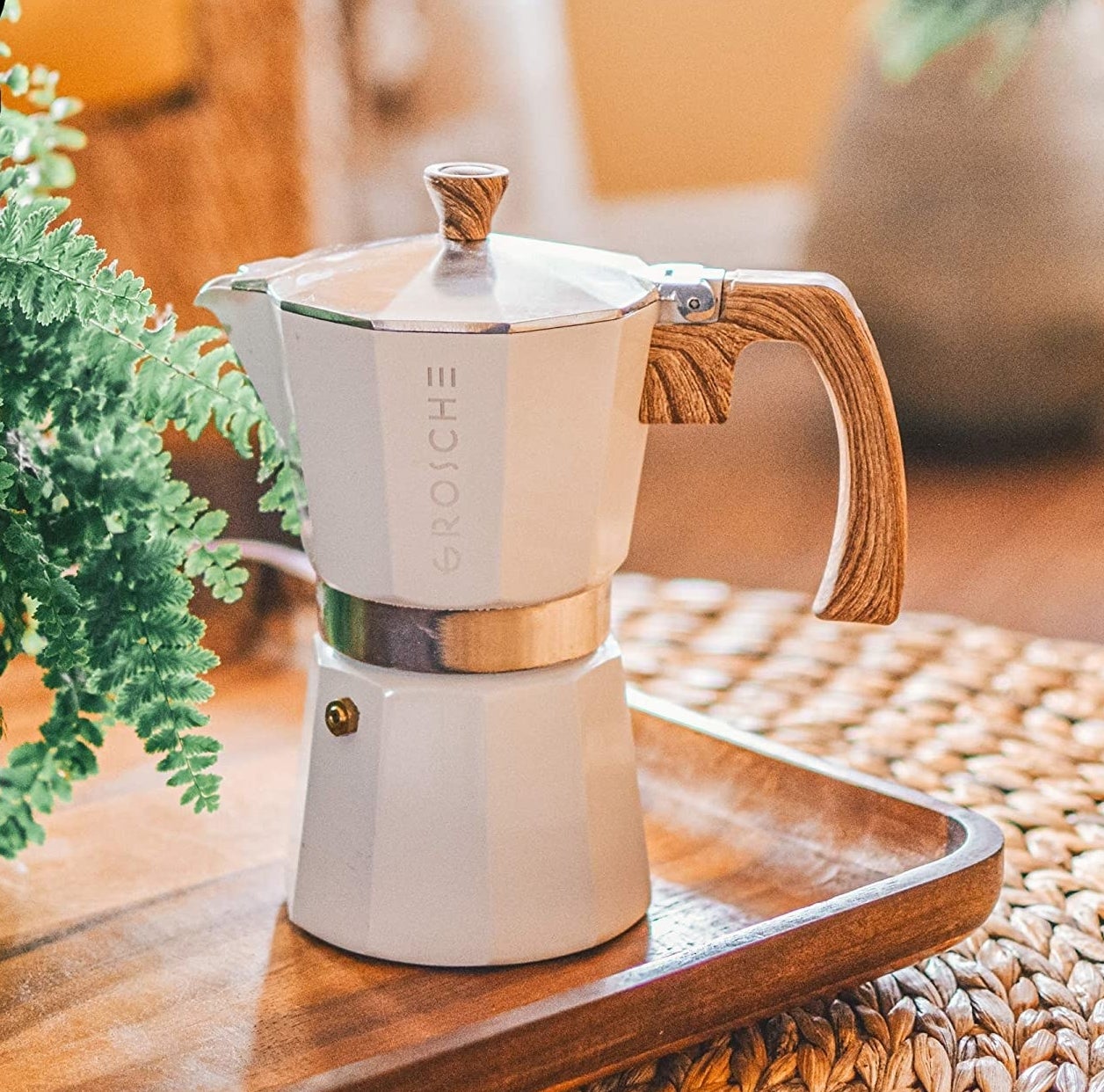 The espresso maker on a tray next to a cute plant