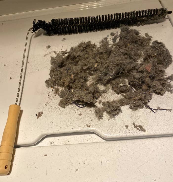 reviewer photo showing the dryer lint brush next to a pile of dust and lint on their dryer 